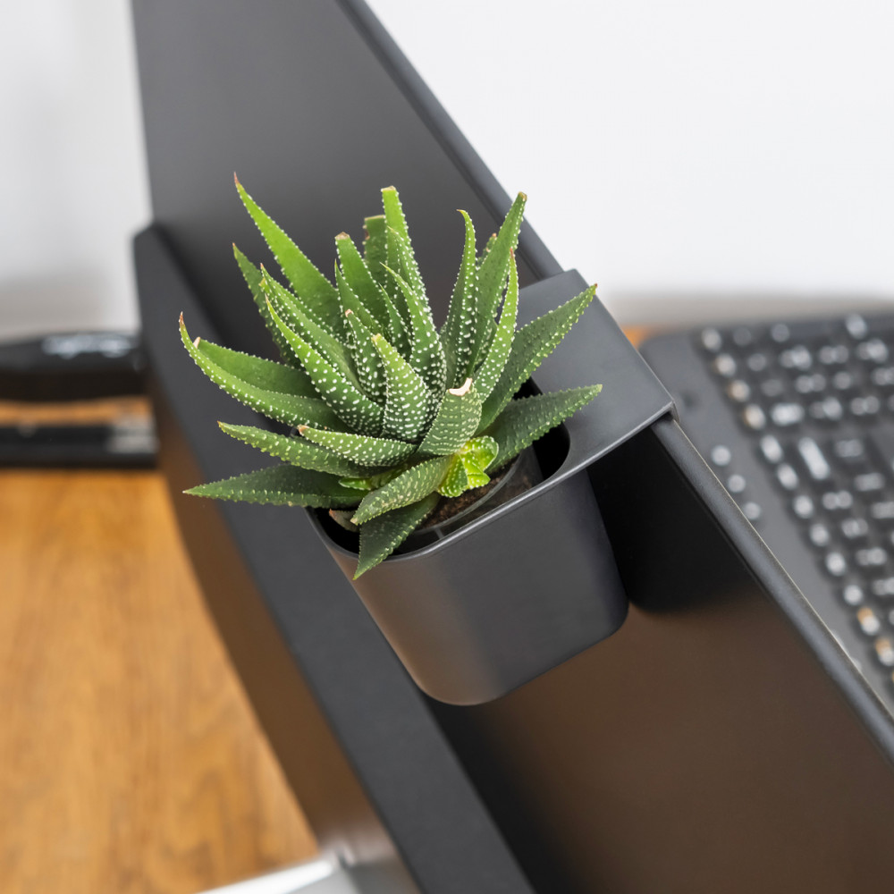 Trois pots de rangement pour écran d'ordinateur